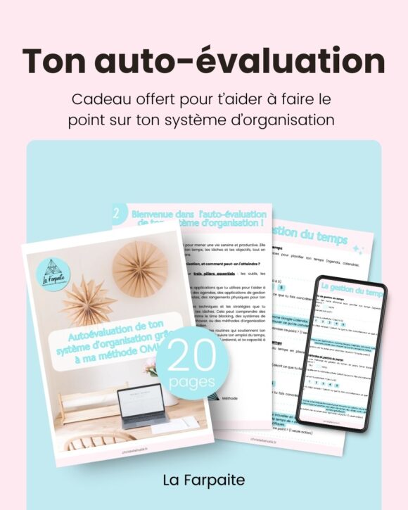 Auto évaluation système d'organisation